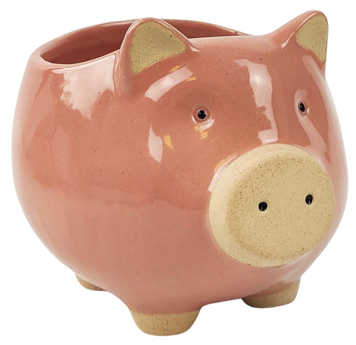 Pig Planter | 11cm