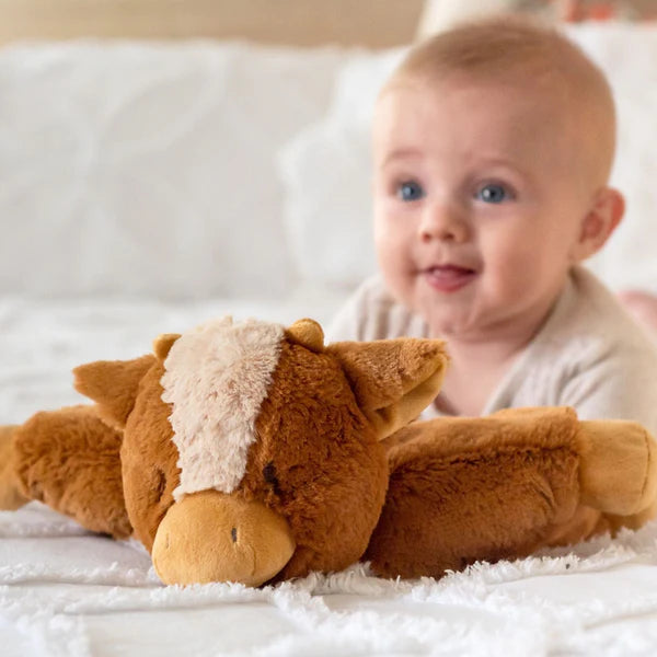 Soft Toys