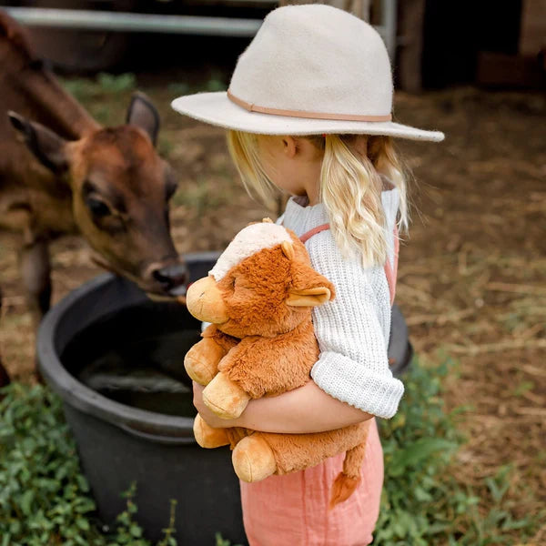 Soft Toys