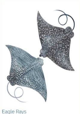 Watercolour Greeting Card- Sofie Seyah