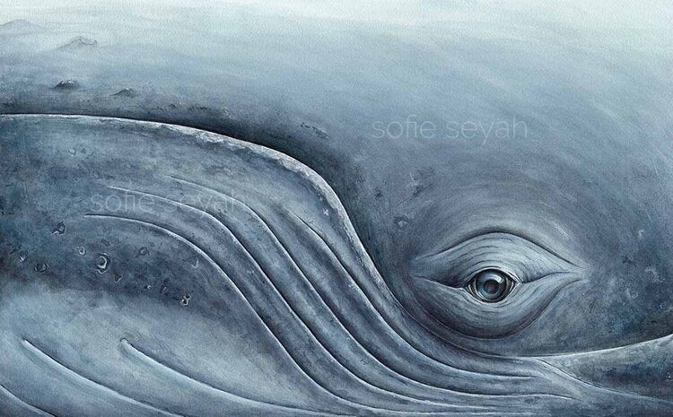 Watercolour Greeting Card- Sofie Seyah