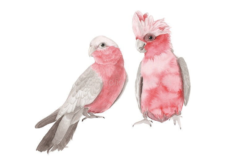 Watercolour Greeting Card- Sofie Seyah