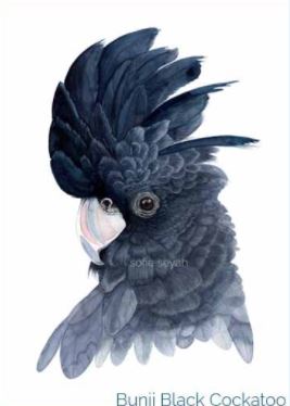 Watercolour Greeting Card- Sofie Seyah