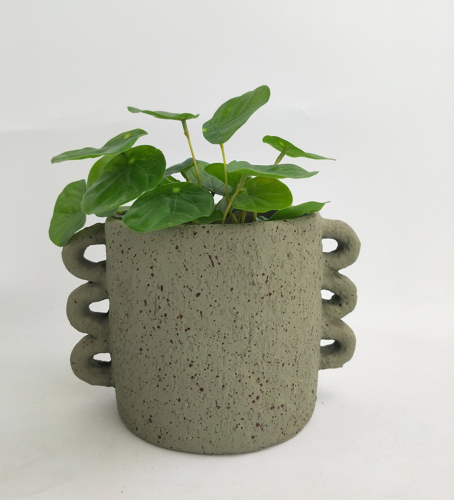 Dayze Planter