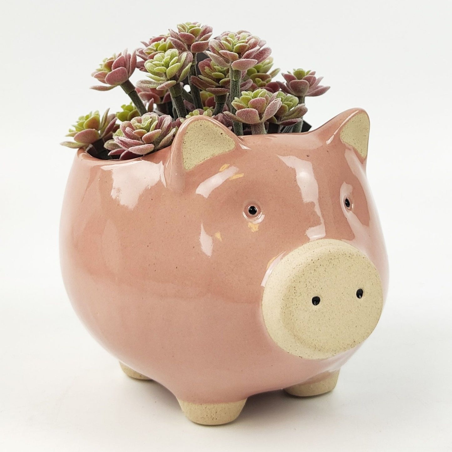 Pig Planter | 11cm