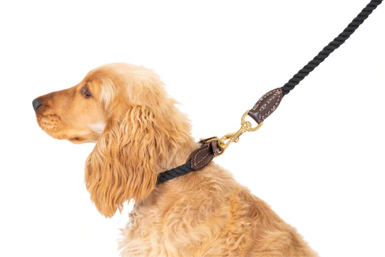 Classic Rope Dog Lead