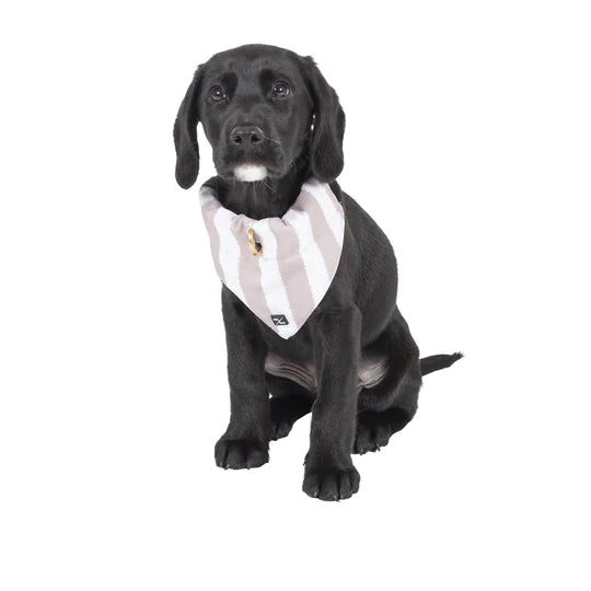 Dog Bandana