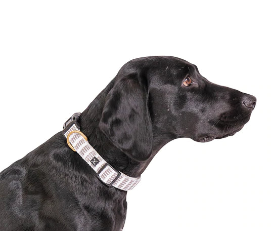Hemp Dog Collar