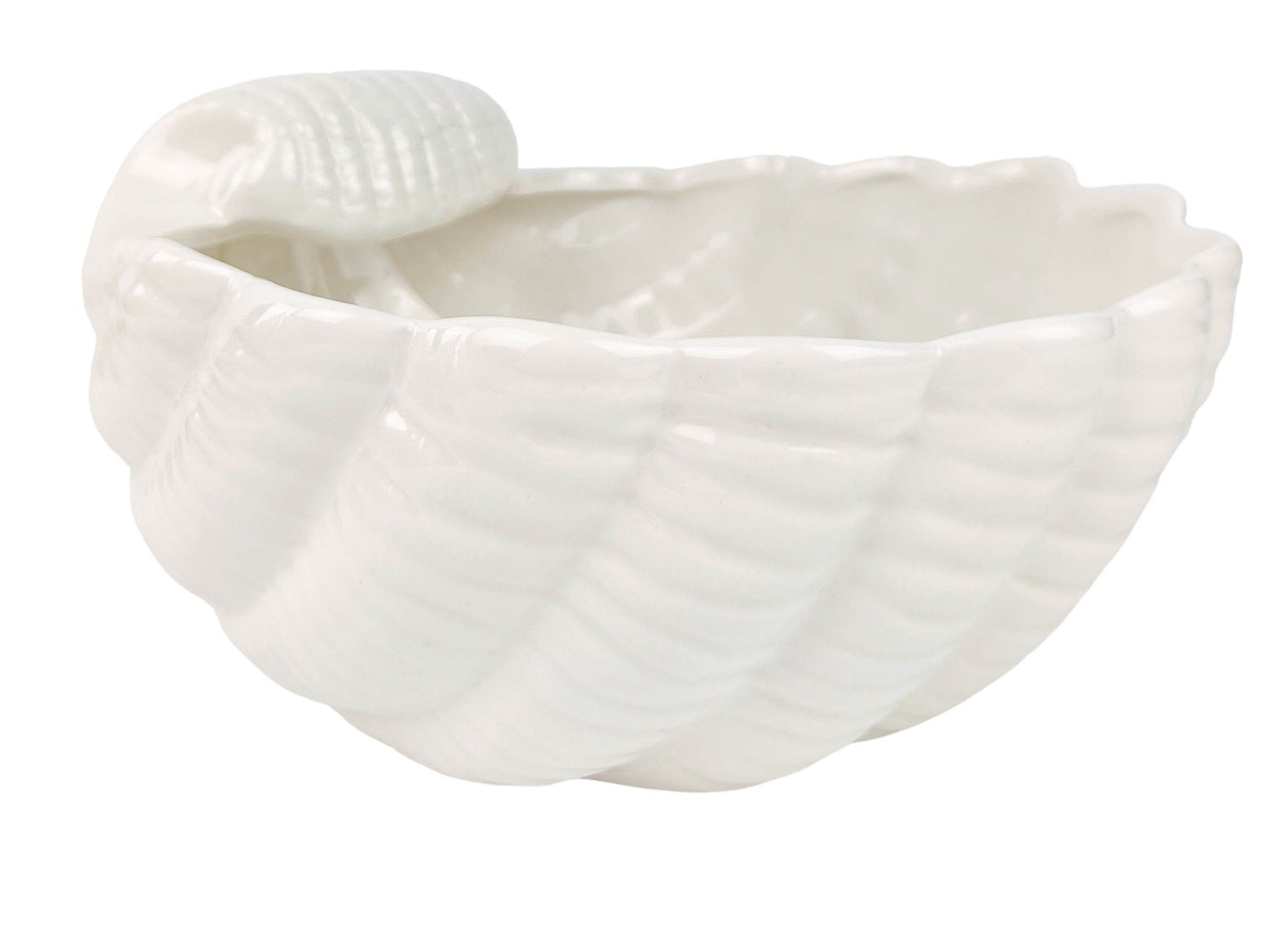 Marina Clam Shell Planter