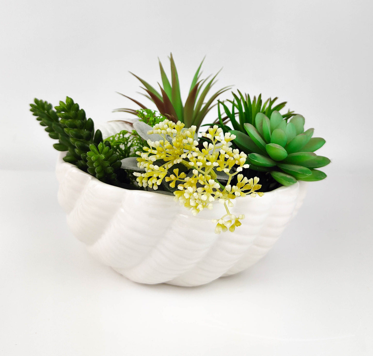 Marina Clam Shell Planter