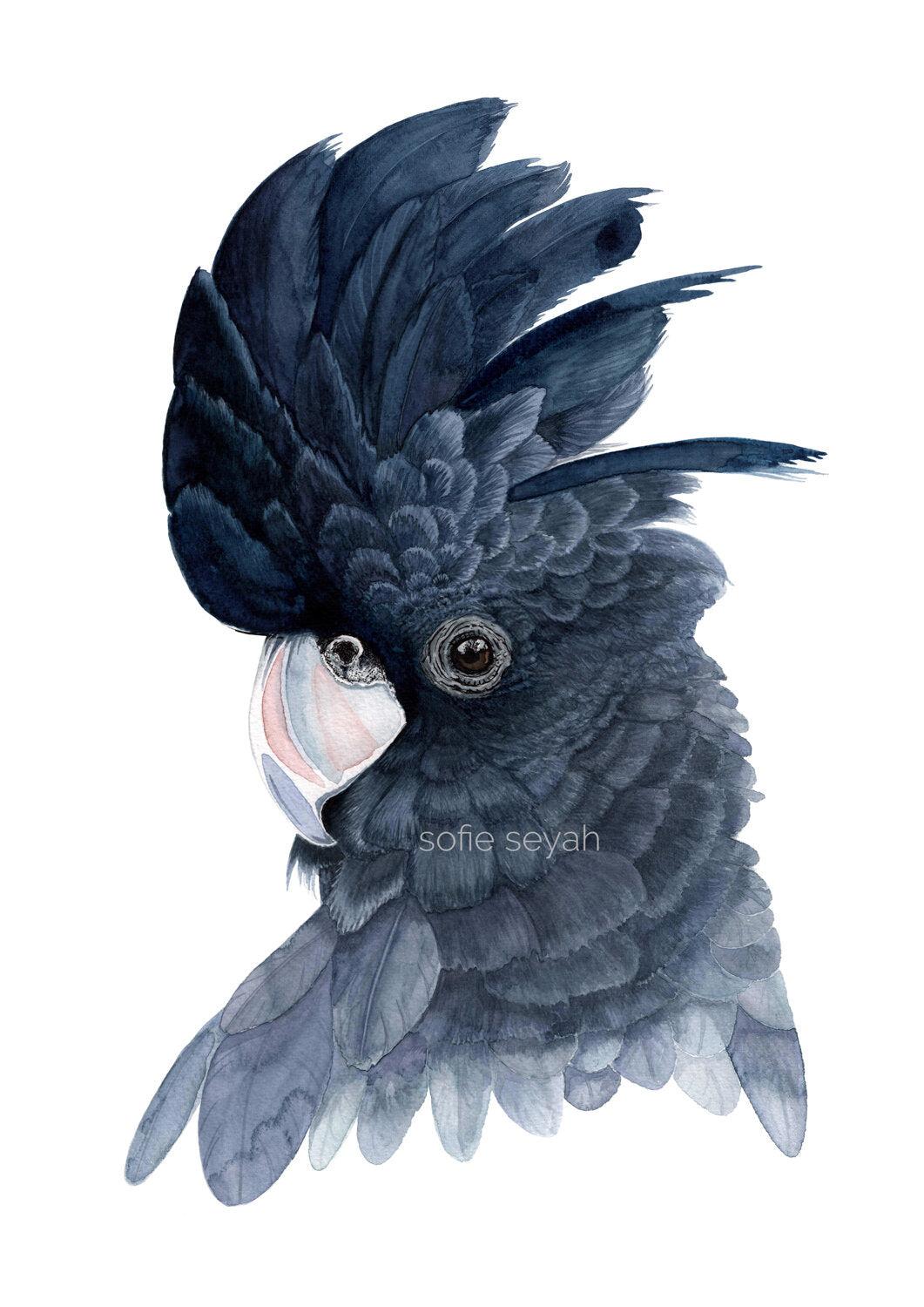 Sofie Seyah Watercolour Print- A3