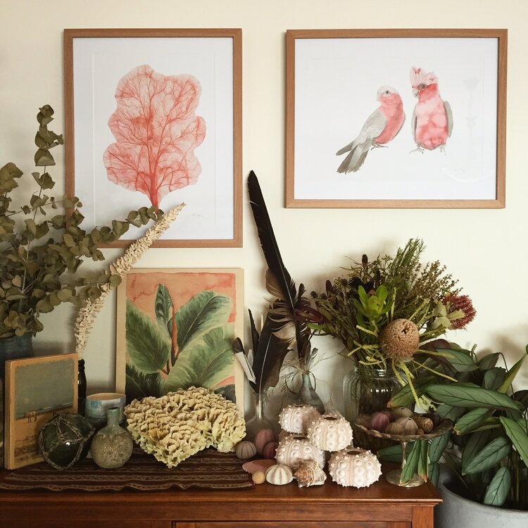 Sofie Seyah Watercolour Print- A3 in Frame