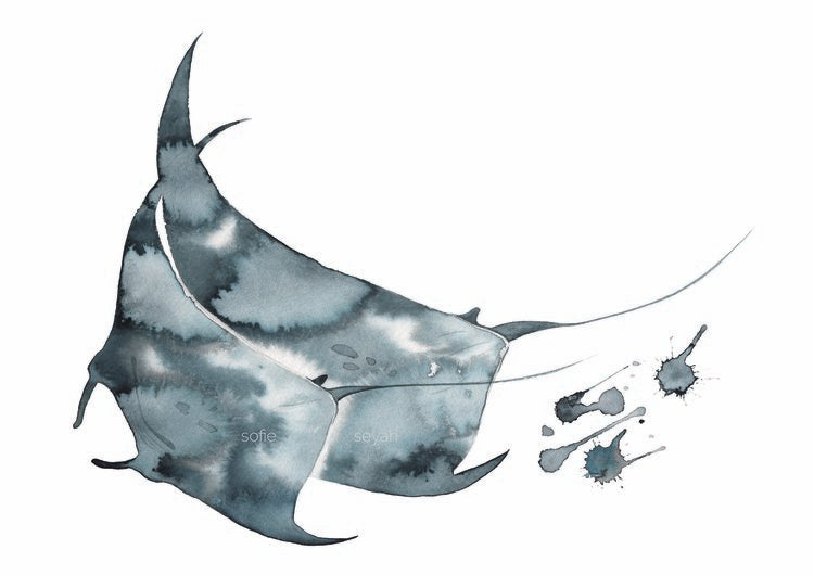 Sofie Seyah Watercolour Print- A3 in Frame