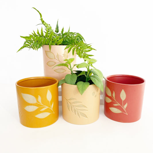 Shae Foliage Planter